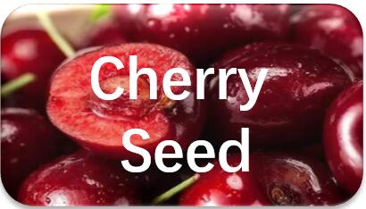 Cherry-seed-extraction