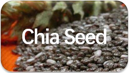 chia-seed-extraction