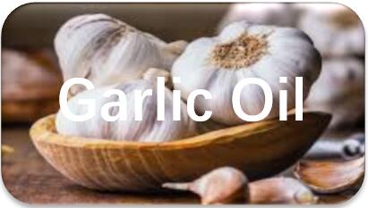 garlic-oil-extraction